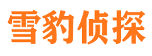 贺兰侦探公司